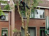 08-02-Bomen-Weg-bij-Hasan