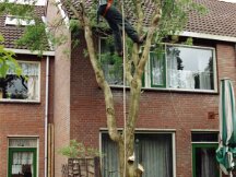 02-08-2000 Bomen weghalen bij Hassan