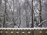 110-1060_img