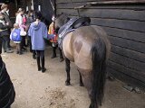 111-1173_img