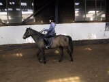 111-1177_img