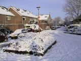 img_1863