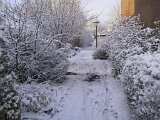 img_1865