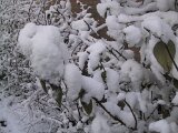 img_1866