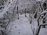 img_1867