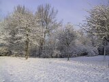 img_1868