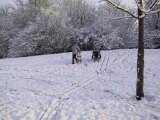 img_1870
