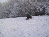 img_1871