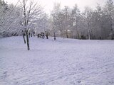 img_1874