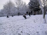 img_1878
