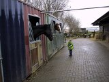 03-17-Eerste-Keer-Paardrijles