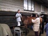 img_1911