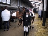 img_1912