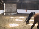 img_2029