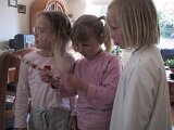 img_2049