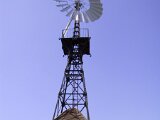 img_8834
