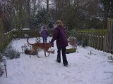 dsc00701