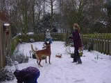dsc00705
