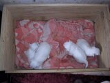 img_0205