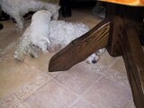 img_0249