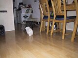 img_0355
