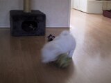 img_0416