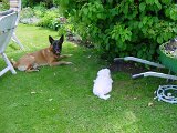 dsc00037