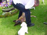 dsc00038