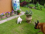 dsc00039