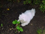 dsc00041
