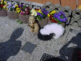 dsc00042