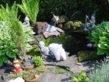dsc00044