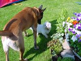 dsc00046