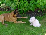 dsc00047