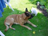 dsc00048