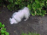 dsc00068