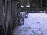 img_1154