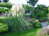 dsc00112