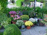 dsc00113