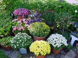 dsc00115