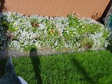 dsc00116