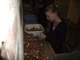 img_0663