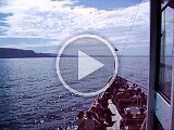 asf_0866