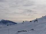 img_0019