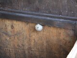 img_1178