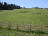img_1241