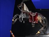 img_1539