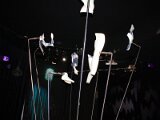 img_1557