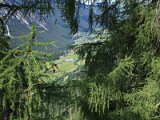 img_1726