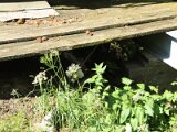img_1732